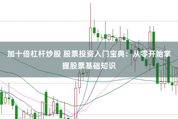 加十倍杠杆炒股 股票投资入门宝典：从零开始掌握股票基础知识