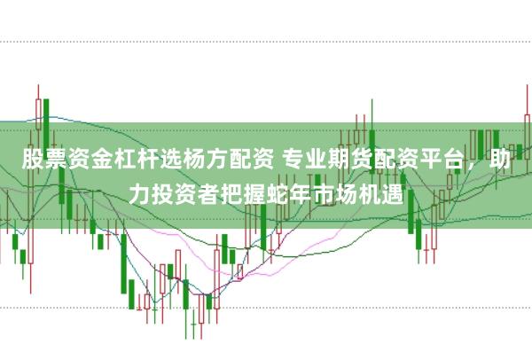 股票资金杠杆选杨方配资 专业期货配资平台，助力投资者把握蛇年市场机遇