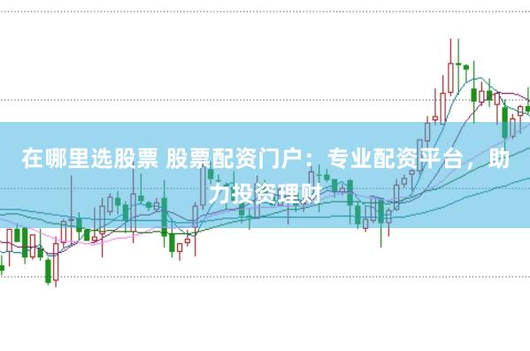 在哪里选股票 股票配资门户：专业配资平台，助力投资理财