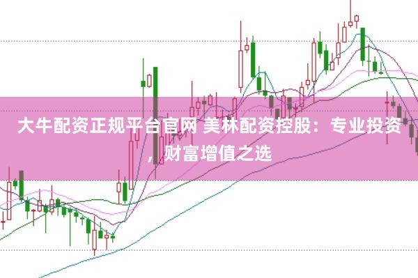 大牛配资正规平台官网 美林配资控股：专业投资，财富增值之选