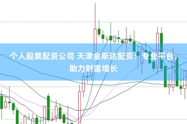 个人股票配资公司 天津金斯达配资：专业平台，助力财富增长