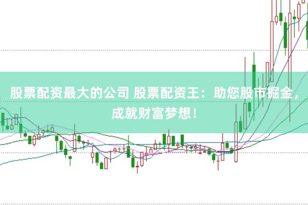 股票配资最大的公司 股票配资王：助您股市掘金，成就财富梦想！