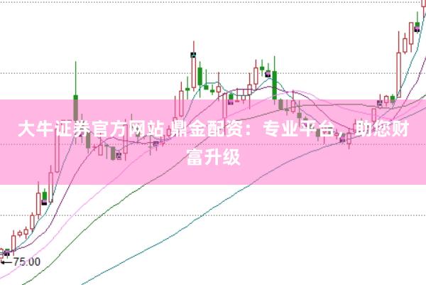 大牛证券官方网站 鼎金配资：专业平台，助您财富升级