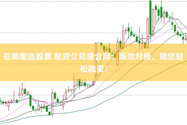 在哪里选股票 配资公司撮合网：高效对接，助您轻松融资！