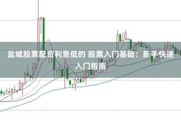 盐城股票配资利息低的 股票入门基础：新手快速入门指南