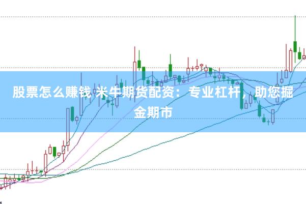 股票怎么赚钱 米牛期货配资：专业杠杆，助您掘金期市