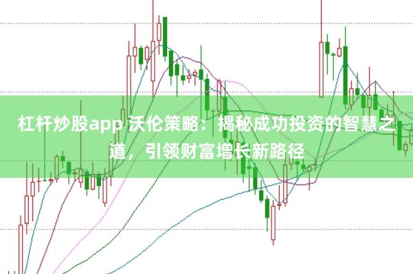 杠杆炒股app 沃伦策略：揭秘成功投资的智慧之道，引领财富增长新路径