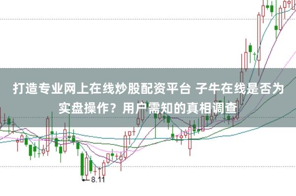 打造专业网上在线炒股配资平台 子牛在线是否为实盘操作？用户需知的真相调查