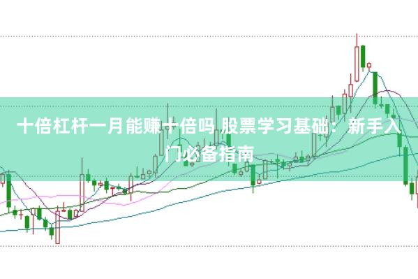 十倍杠杆一月能赚十倍吗 股票学习基础:新手入门必备指南