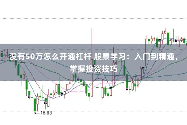 没有50万怎么开通杠杆 股票学习:入门到精通,掌握投资技巧
