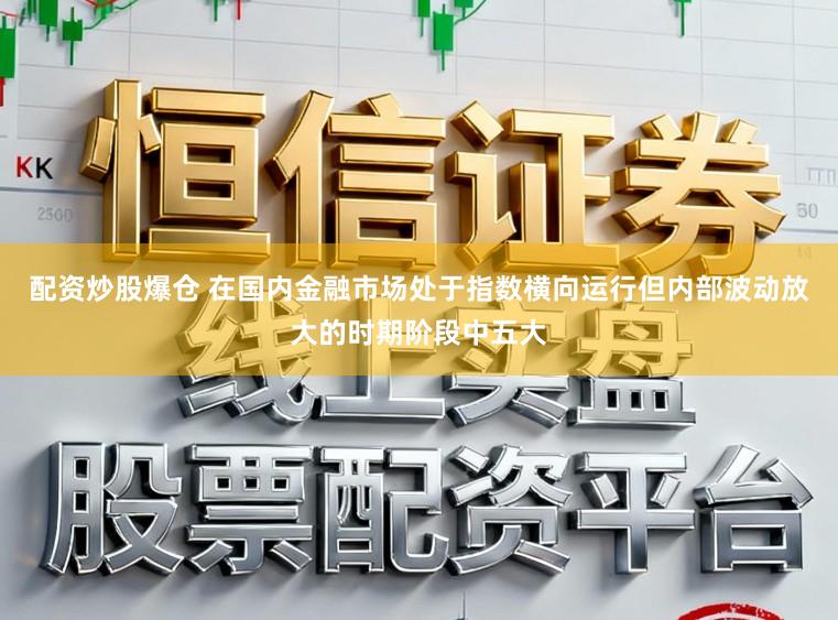 配资炒股爆仓 在国内金融市场处于指数横向运行但内部波动放大的时期阶段中五大
