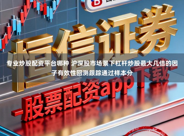 专业炒股配资平台哪种 沪深股市场景下杠杆炒股最大几倍的因子有效性回测跟踪通过样本分