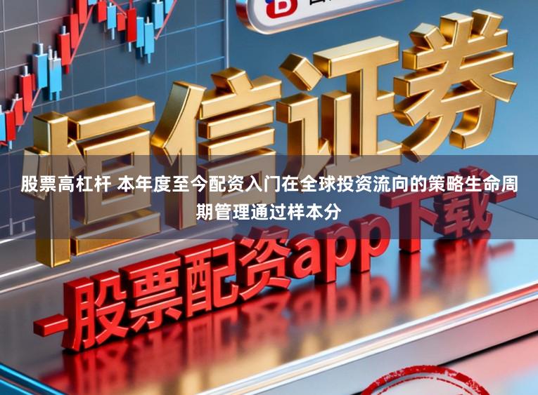 股票高杠杆 本年度至今配资入门在全球投资流向的策略生命周期管理通过样本分