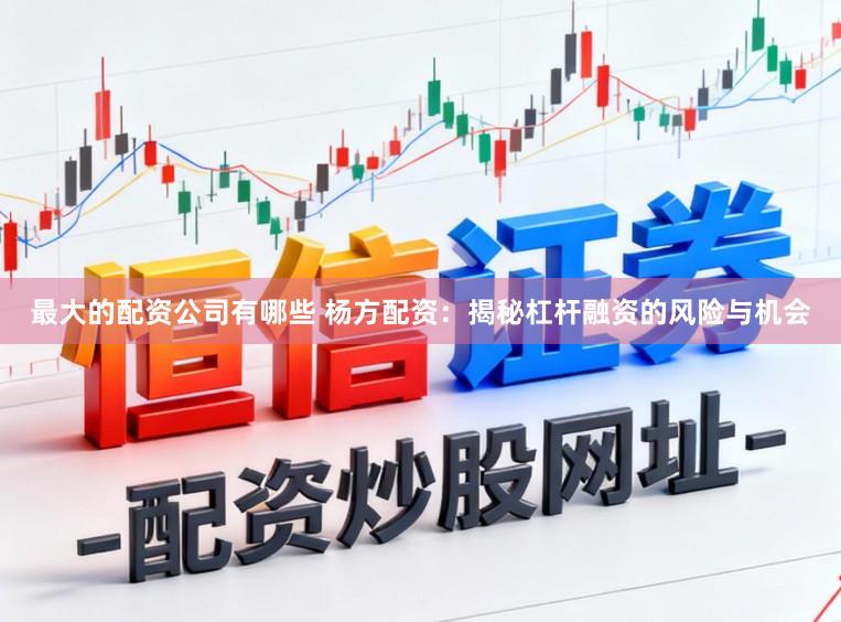 最大的配资公司有哪些 杨方配资：揭秘杠杆融资的风险与机会