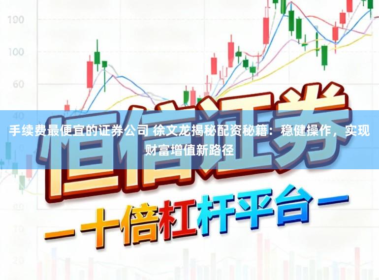 手续费最便宜的证券公司 徐文龙揭秘配资秘籍：稳健操作，实现财富增值新路径